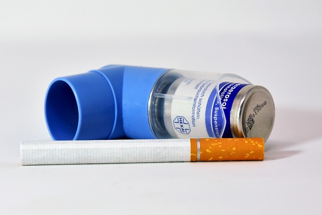 Healthy Tips For Keeping Your Asthma Controlled 2